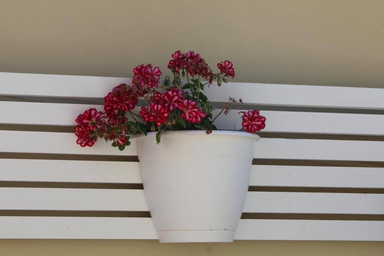 Malu - Guest house